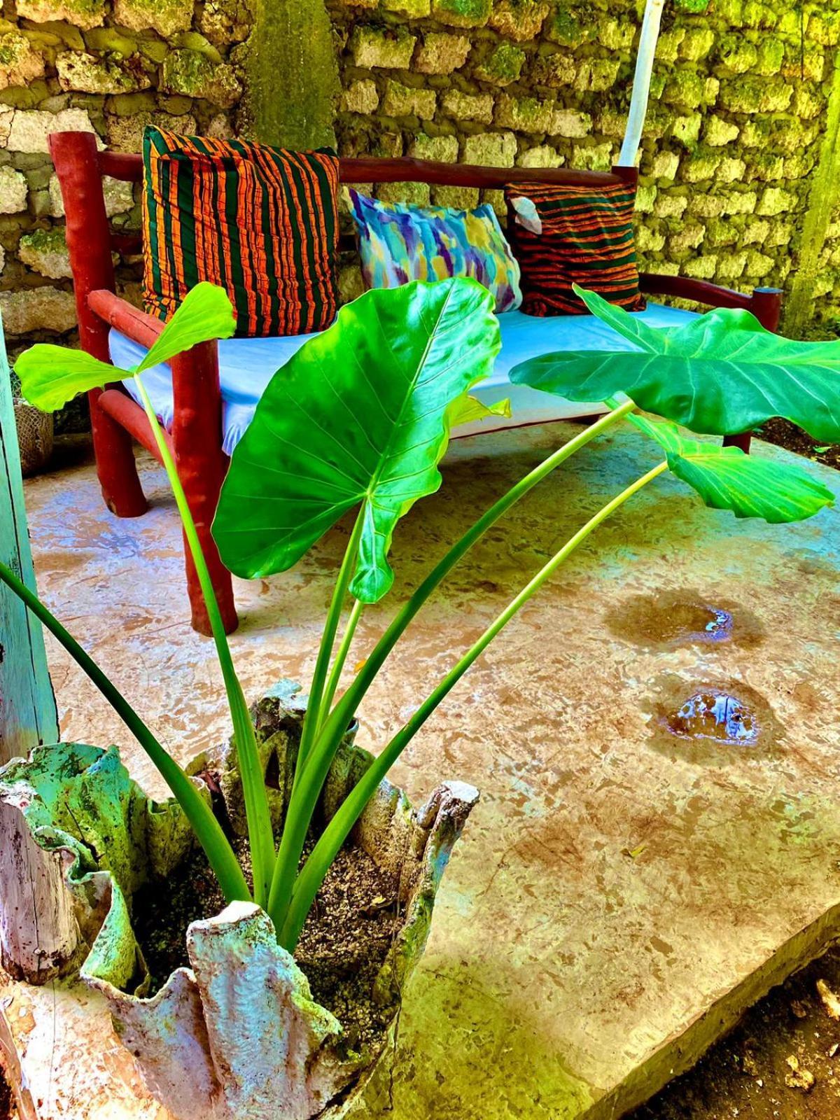 African Hut Tiny Cottage Diani Beach Exterior foto