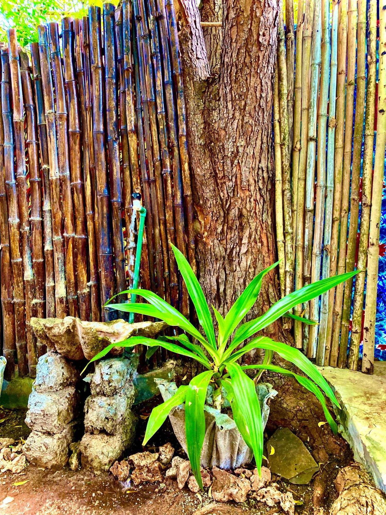 African Hut Tiny Cottage Diani Beach Exterior foto